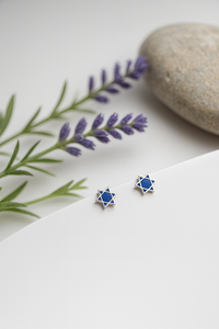 Neel Tara Mini Studs