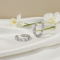 Luxe Radiant Zircon Hoop Earrings